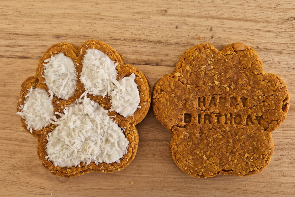 Big birthday bikkie