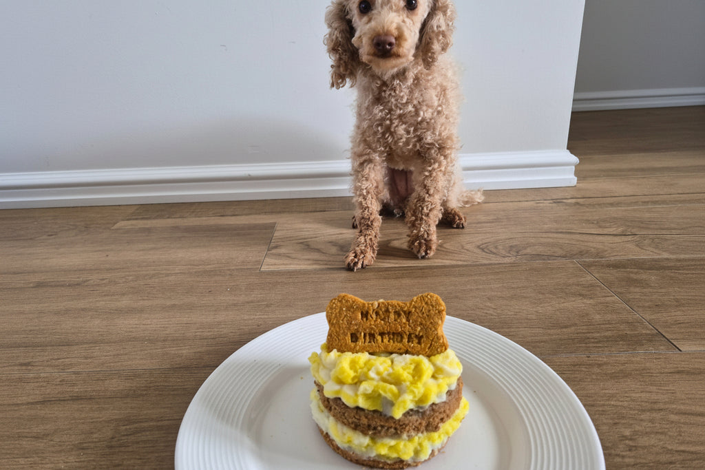 Pupcakes Potato Frosting