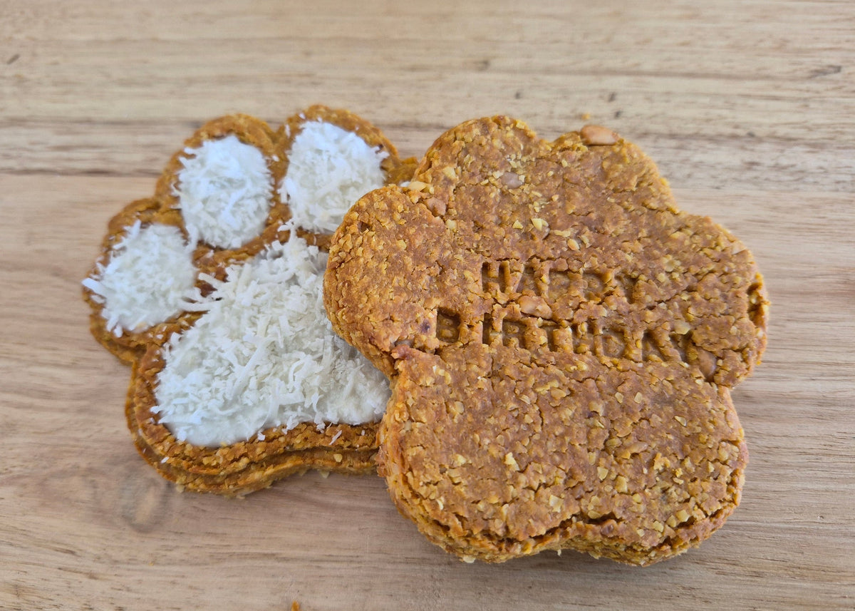 Big birthday bikkie